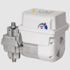 Garen - Basculante  BV DUO TSI 1/2HP RAPIDO